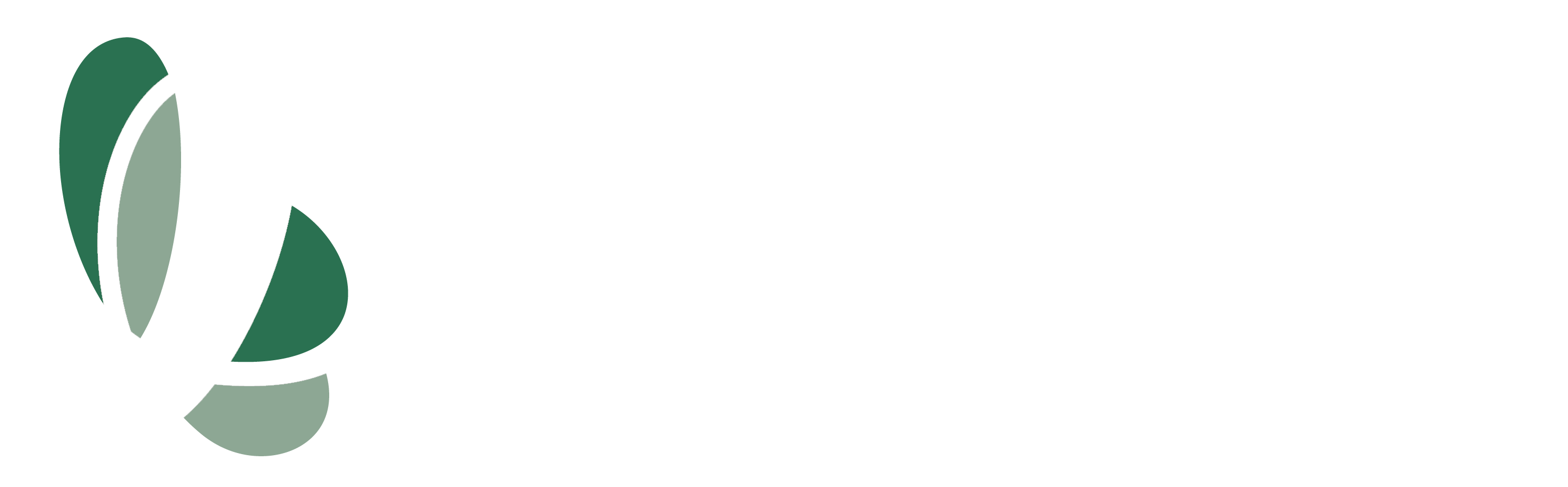 Asontu
